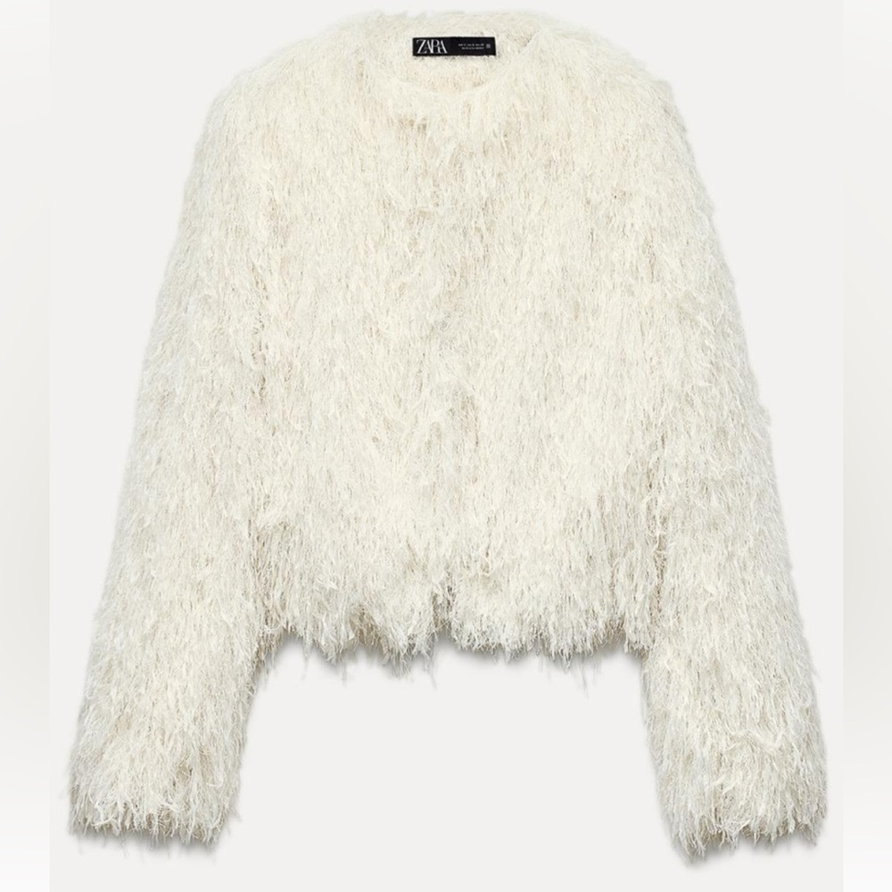 Zara fringe jacket with metallic thread